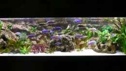 aquarium-von-blume007-becken-7910_