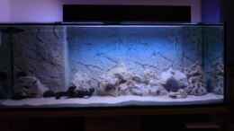 aquarium-von-iluby-becken-8497_