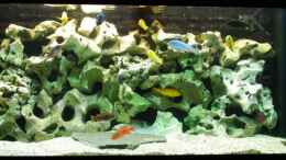 aquarium-von-leslie-becken-8562_Vorder-Ansicht