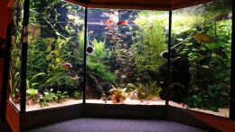 aquarium-von-wss-becken-8583_