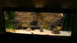 aquarium-von-dark-holzhausen-becken-862_