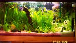 aquarium-von-ingo-dahl-becken-8627_