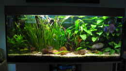 aquarium-von-korbi-becken-8628_Mein Juwel Rio 300 