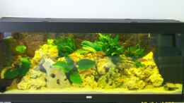 aquarium-von-rene-nolting-becken-8686_saolosi becken