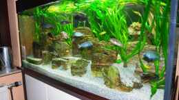 aquarium-von-christian-colling-becken-8737_