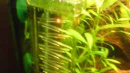 aquarium-von-andreas-laubinger-becken-9058_CO2