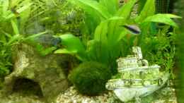 aquarium-von-reddragon-becken-9077_