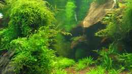 aquarium-von-ralle-becken-9458_