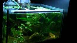 aquarium-von-plattenjaeger-becken-9580_