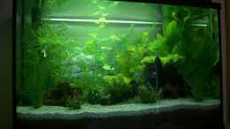 aquarium-von-earkle-becken-9755_Gesamtansicht