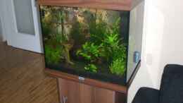 aquarium-von-marcel1811-becken-9794_