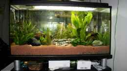 aquarium-von-taki-becken-9798_