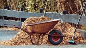 Warum ist Rindenmulch bei Gartenliebhabern so beliebt?