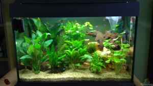 Mein Tetra AquaArt 60L