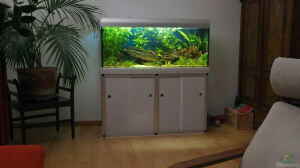 300 Liter Amazonas 8.2009