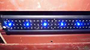 Filter Raumbeleuchtung LED