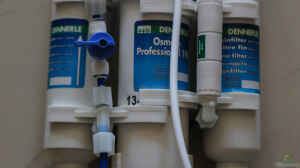 Osmose Professional 190 Dennerle