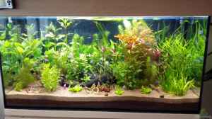 Aquarium Hauptansicht von Becken 32155