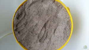 Rheinsand 0-8 mm