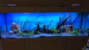 Aquarium Hauptansicht von Becken 33307