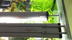 LED von Daytime. Hinten Eco und vorne Cluster