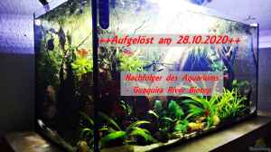 Aquarium aufgelöst am 28.10.2020