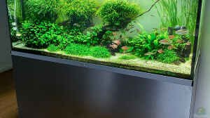 Aquarium Hauptansicht von Fluval Profile 1500 Kund