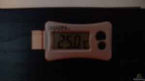 digitales Thermometer