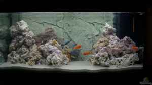 300 Liter Aquarium Rio 300 von Juwel