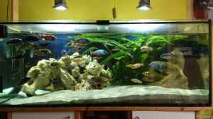 Bild aus dem Beispiel Malawi Tank von EL_LOCO