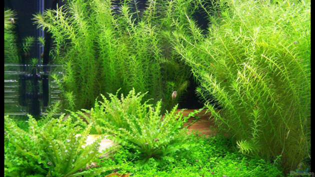 Zum Beispiel NC20-01