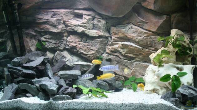 Zum Beispiel Becken 12778