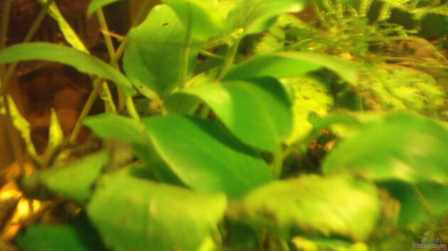 Zum Beispiel Krabbelstube