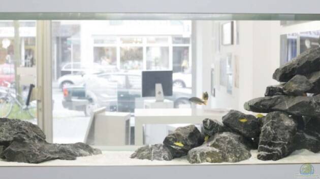 Zum Beispiel Becken 13672