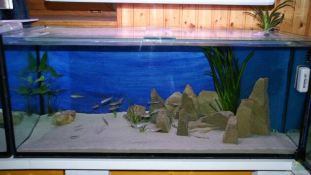 Zum Beispiel Becken 1402