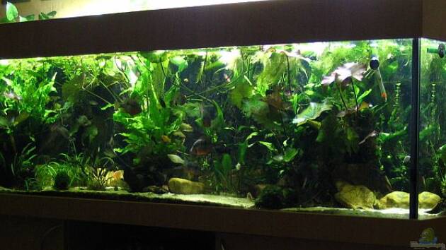 Zum Beispiel Becken 1710