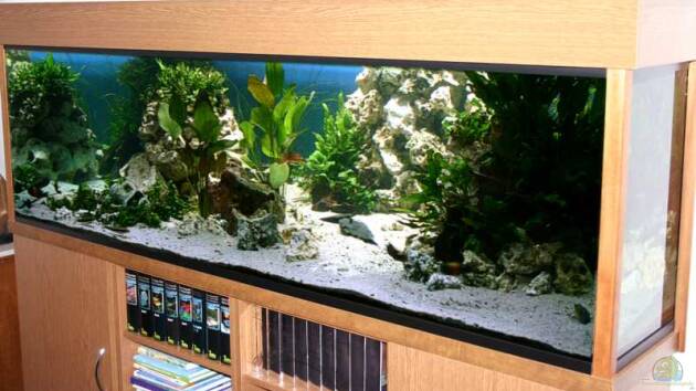 Zum Beispiel www.tanganjikasee-aquarium.de