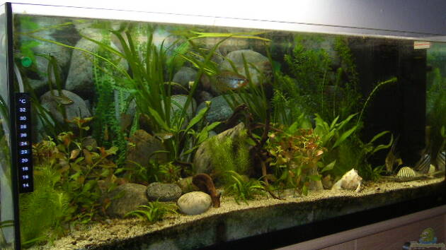 Zum Beispiel Becken 1772