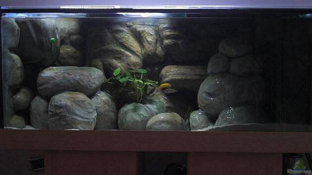 Zum Beispiel Thommys Malawiwelt