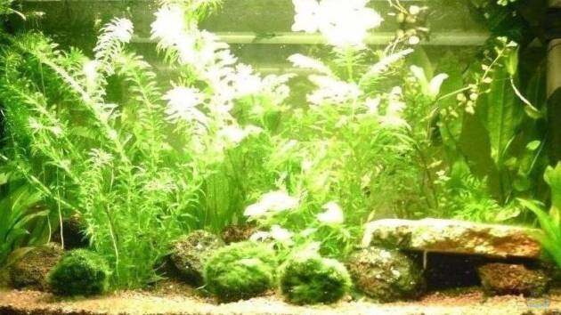 Zum Beispiel Becken 2200