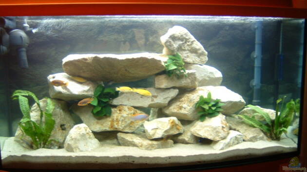 Zum Beispiel Becken 2205