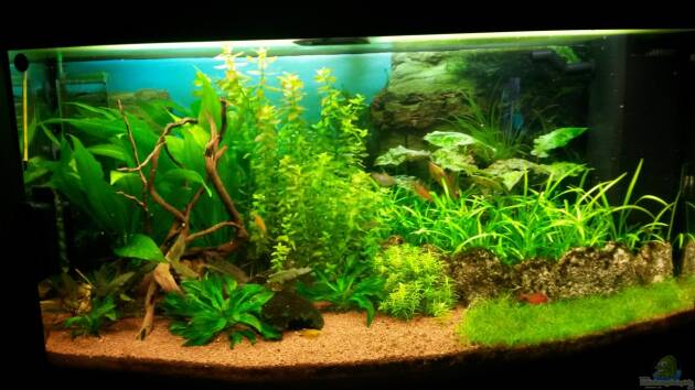 Zum Beispiel Becken 3