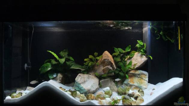 Zum Beispiel Becken 25200