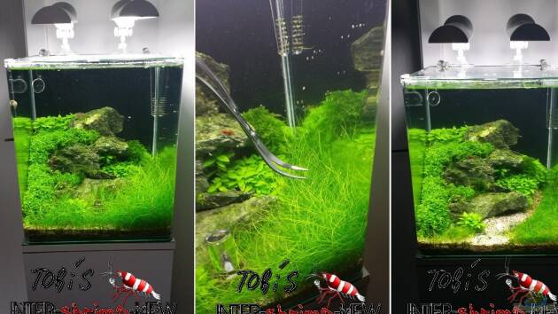 Zum Beispiel SOULFLY