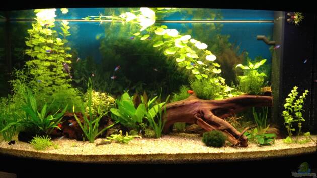 Zum Beispiel JUWEL_Vision260