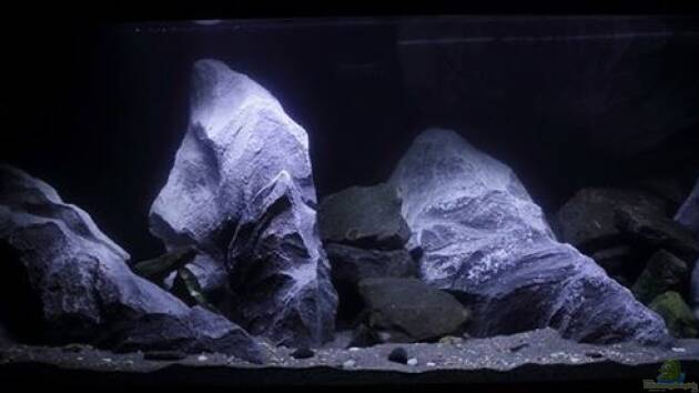 Zum Beispiel Lake Malawi