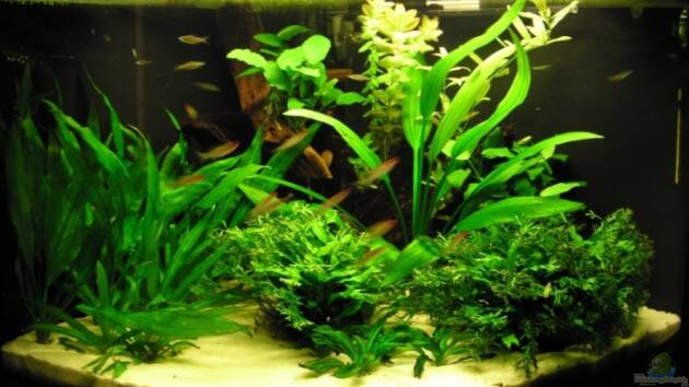 Zum Beispiel Becken 5307