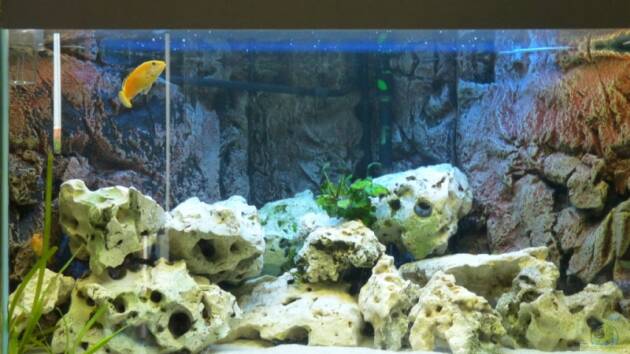 Zum Beispiel Becken 5684