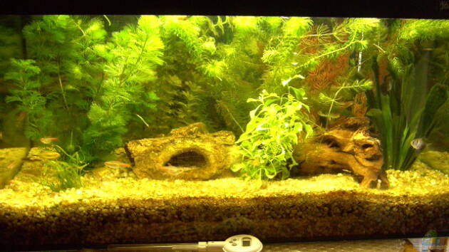 Zum Beispiel Becken 5832