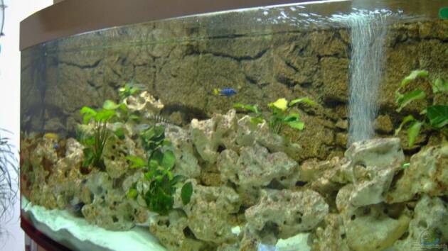 Zum Beispiel Becken 5959